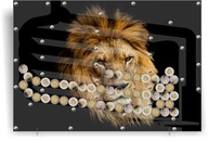 Obraz Olejny Włodzimierz Borowczyk - Obrazy na ścianę