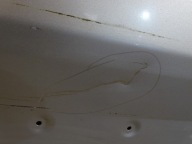 door left rear part left TYLNIE RENAULT MASTER III