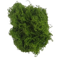 Moha műgyümölcs sötétzöld 10g