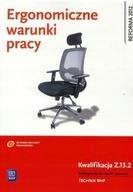 Ergonomiczne warunki pracy. Kwalifikacja Z.13.2. Podręcznik do nauki zawodu