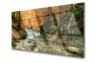 Obraz na skle Vodopád les príroda 100x50