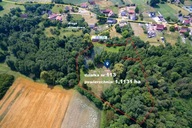 Działka, Piotrowice Małe, 11131 m²