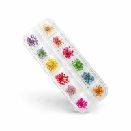 Box sušené kvety pre Nail Art - 12 farieb