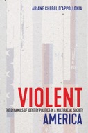 Violent America: The Dynamics of Identity