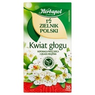 Herbata Herbapol Kwiat Głogu Zielnik Polski 20 tor