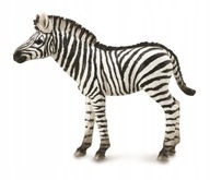 Zebra žriebä