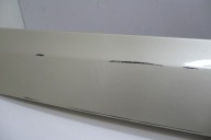 RENAULT SCENIC III 3 moulding door left front