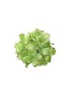 Hortenzia hlavička 13 cm svetlo zelená