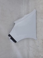 RENAULT MASTER III 3 LIFT 19-> fender front front left
