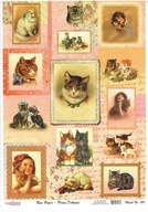 Papier ryżowy A4 Cadence Koty obrazki vintage