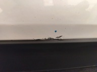 door right front CHEVROLET TRAX and (2012-2016) KOD LAKIERU GYN