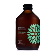 Bezglutenowa Kombucha Ogórek Kolendra 315ml VIGO