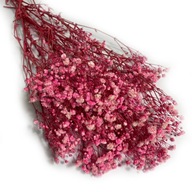 Sadra stabilizovaná, sušená ružová kytica