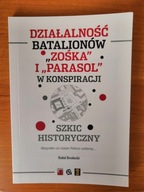 Działalność batalionów "Zośka" i "Parasol" w konspiracji. Szkic historyczny