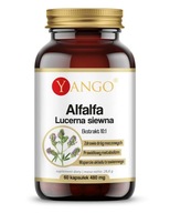 Alfalfa - Lucerna siewna - Yango - 60 kapsułek