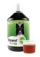 BIOVICO Sizarol Forte 250 ml na stawy dla psa i kota