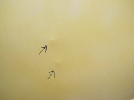 FORD TRANSIT CONNECT and 1 PT2 MK1 02- door right sliding SAFFRON YELLO