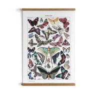 poster s rámom Farebné motýle do izby drevo A1