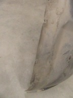 mudguard left left front cover wheels BMW e53 X5