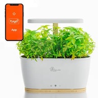Extralink Smart Garden | Smart Planter | Wi-Fi, Bl