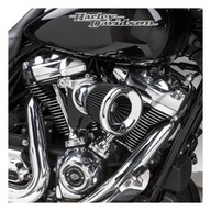 Kryt vzduchového filtra Harley 16-17 Softail 2017 FXDLS 08-16 Touring, Trike