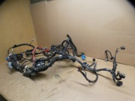 DACIA LODGY dokker 1.2tce 1,2 TCE bundle motor wiring