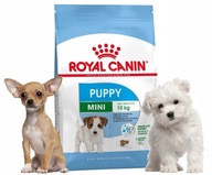 ROYAL CANIN Mini Junior CHIHUAHUA MALTAŃCZYK 8kg