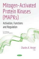 Mitogen-Activated Protein Kinases (MAPKs):