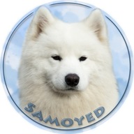 Samolepka na auto - Samojed - Samoyed