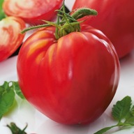 Paradicsom BIVALY SZÍV mag 0,2 g Toraf