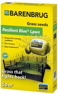 Trawa Barenbrug RESILIENT BLUE Lawn 1kg Nasiona traw Tough&Easy 50m2