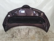 TOYOTA URBAN CRUISER 09-> 9AH Capot
