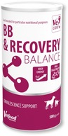 Vetfood BB Recovery Balance 500g