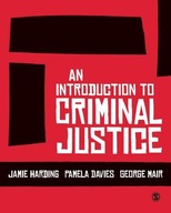 An Introduction to Criminal Justice group work