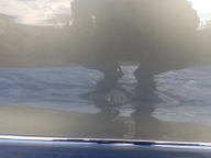 Tür rechts MERCEDES W207 C207 C786 786