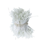 300 SZTUK Dwugłowy pręcik kwiatowy Pyłek Florestry Kwiatowe pręciki białe