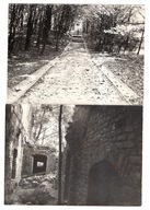 Kadyny k Elbląg - Ruiny i Mauzoleum - 2 FOTO 1970