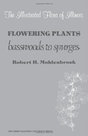 Flowering Plants: Basswoods to Spurges