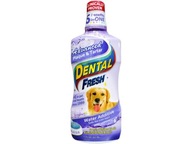 DENTAL FRESH KAMIEŃ OSAD 503ml higiena jamy ustnej