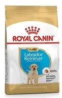 Labradorský retriever Junior krmivo 3 kg Royal Canin