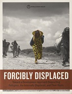 Forcibly displaced: toward a development approach