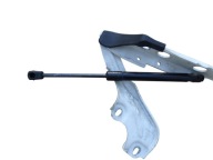 AUDI A6 C7 A7 10-18 hinge bonnet hinges left right KOMPLET LY9C BIALE ORYG