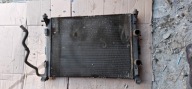 water cooler RENAULT SCENIC II 2.0