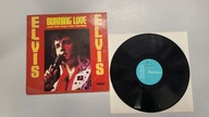 Winyl Burning Love And Hits From His Movies Vol. 2 Elvis Presley