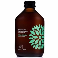 Kombucha Ogórek + Kolendra BIO 330ml - VIGO