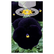 Semená Braček čierny 0,5 g Roltico