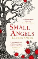 Small Angels: A twisting gothic tale of darkness,