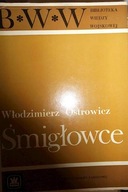 Śmigłowce - Ostrowicz