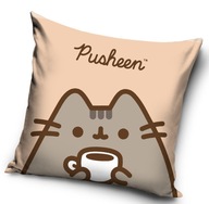 Obliečka na vankúš 40x40 rozprávková mačka Pusheen stay cool luz