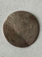 szeląg, Zygmunt III Waza, Ryga 1621, srebro (111)